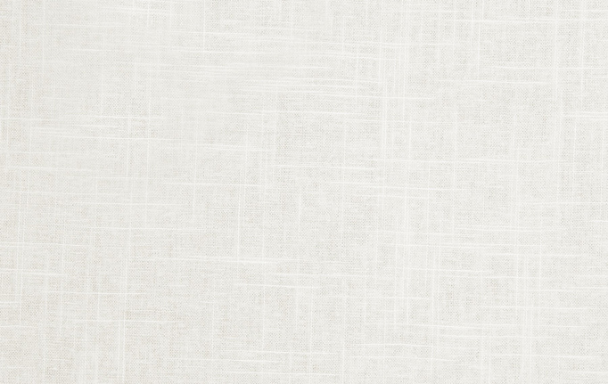 Американская ткань Trend, коллекция Pacific Linen Multipurpose, артикул 02636/Oyster