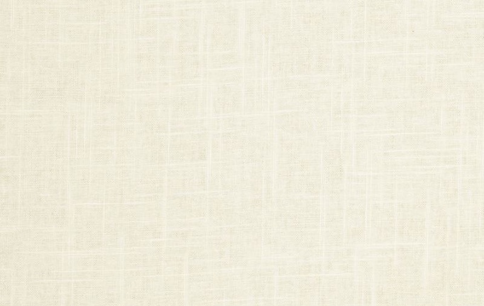 Американская ткань Trend, коллекция Pacific Linen Multipurpose, артикул 02636/Ecru