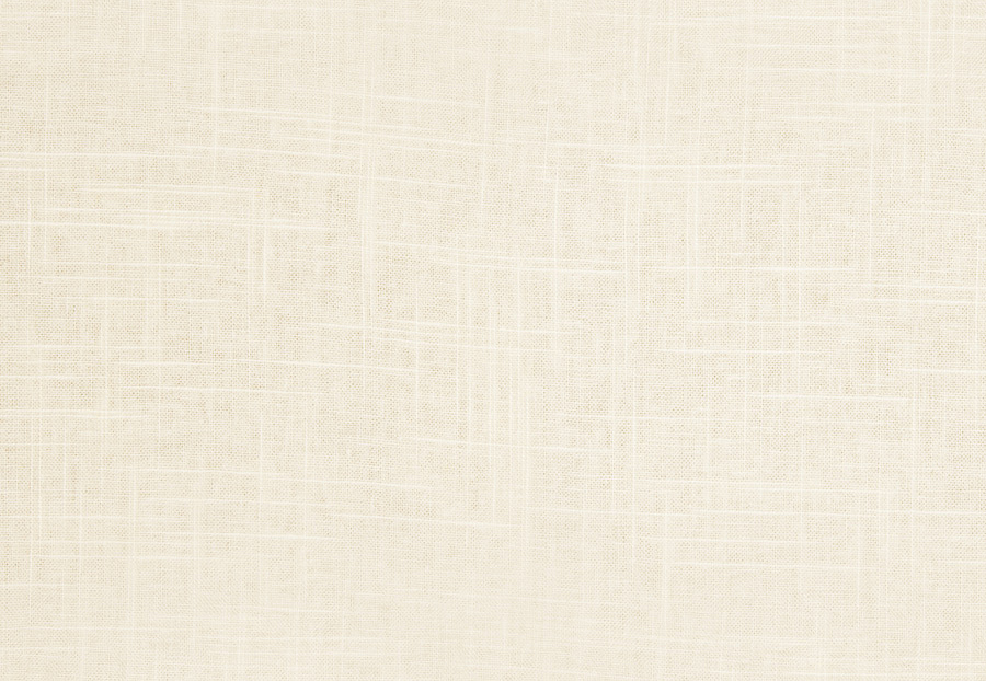 Ткань Trend Pacific Linen Multipurpose 02636/Cloud
