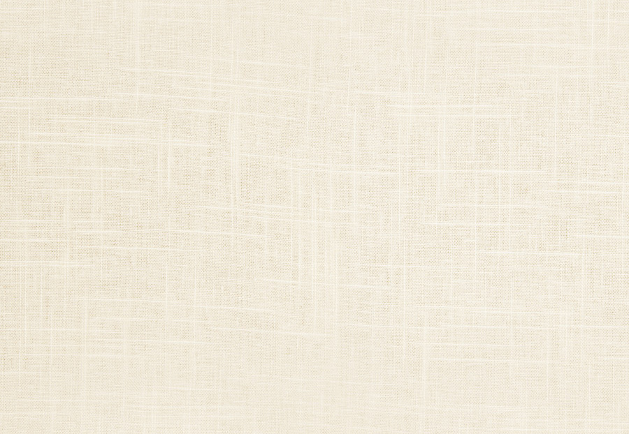 Ткань Trend Pacific Linen Multipurpose 02636/Cloud