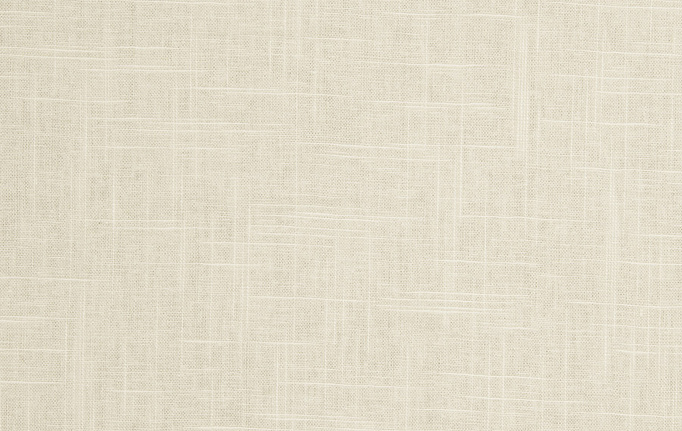Американская ткань Trend, коллекция Pacific Linen Multipurpose, артикул 02636/Dune