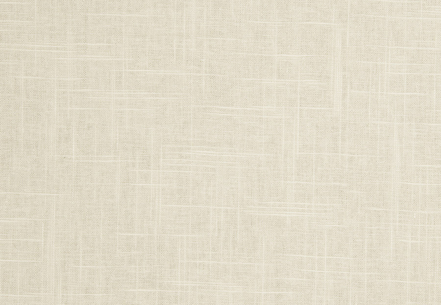 Ткань Trend Pacific Linen Multipurpose 02636/Dune