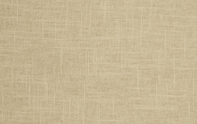 Американская ткань Trend, коллекция Pacific Linen Multipurpose, артикул 02636/Toast