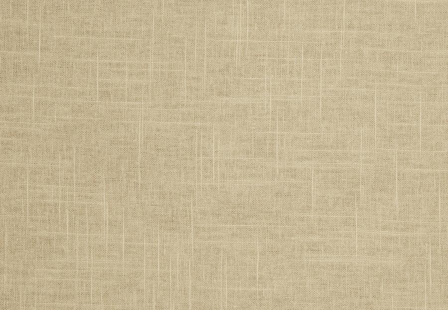 Ткань Trend Pacific Linen Multipurpose 02636/Toast