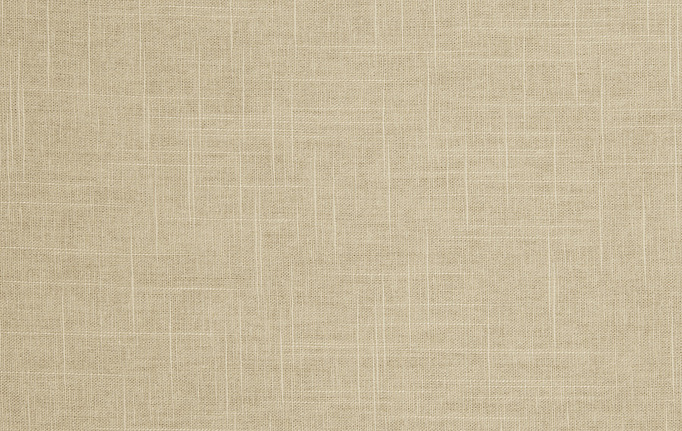 Американская ткань Trend, коллекция Pacific Linen Multipurpose, артикул 02636/Mushroom