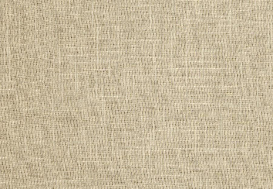 Ткань Trend Pacific Linen Multipurpose 02636/Mushroom