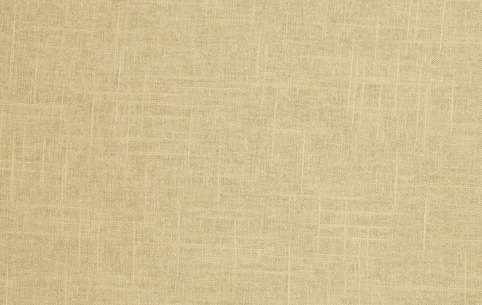 Американская ткань Trend, коллекция Pacific Linen Multipurpose, артикул 02636/Cashew