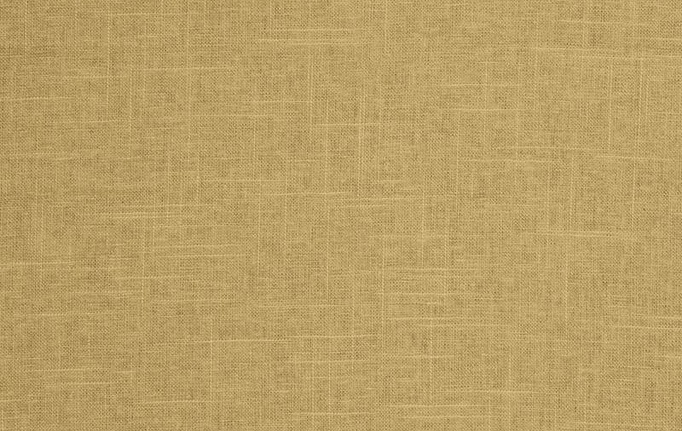 Американская ткань Trend, коллекция Pacific Linen Multipurpose, артикул 02636/Tussah