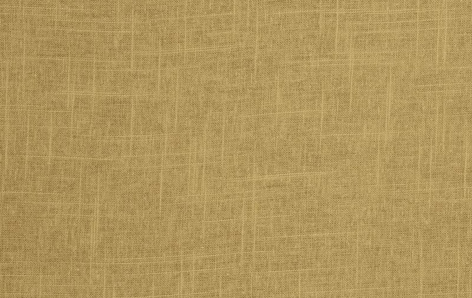 Американская ткань Trend, коллекция Pacific Linen Multipurpose, артикул 02636/Butterscotch