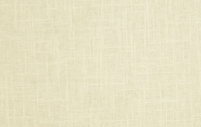 Американская ткань Trend, коллекция Pacific Linen Multipurpose, артикул 02636/Meringue