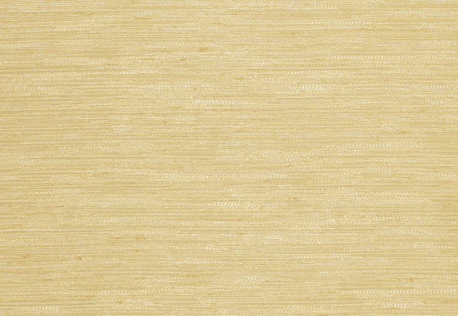 Ткань Trend Silky Solids Drapery 02840/Biscotti