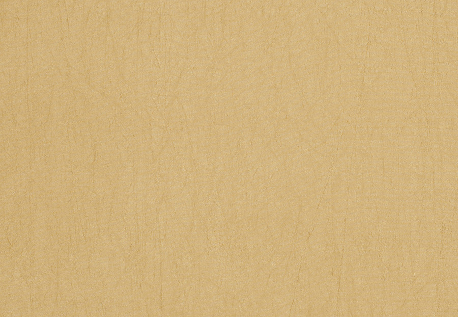 Ткань Trend Silky Solids Drapery 02838/Wheat