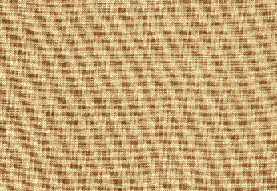 Ткань Trend Terra Cotta Cinnamon Prints & Wovens Vol.II 02133/Wheat