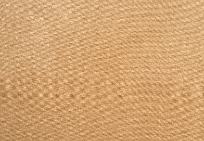 Ткань Trend Wild Berry Cardinal Prints & Wovens Vol.II 02115/Honey