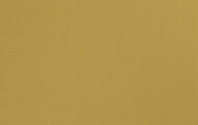 Американская ткань Trend, коллекция Multipurpose Sleek Satin Vol.II, артикул 02022/Turtle