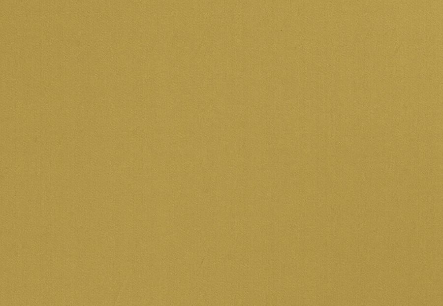 Ткань Trend Multipurpose Sleek Satin Vol.II 02022/Turtle