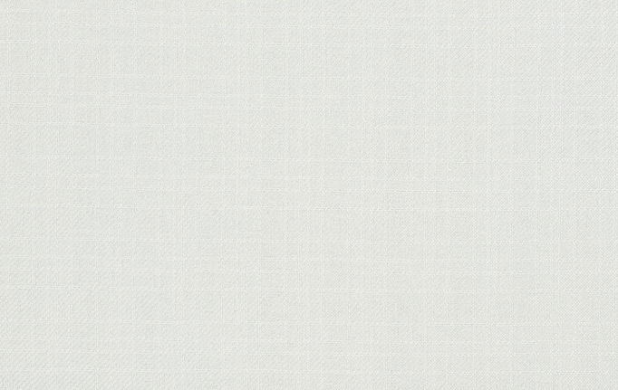 Американская ткань Trend, коллекция Mammoth Twill, артикул 04466/Snow