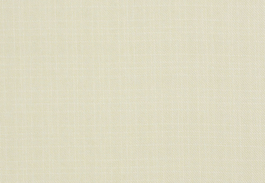Ткань Trend Mammoth Twill 04466/Parchment