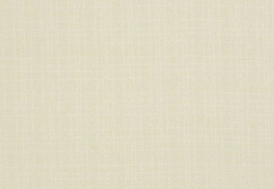 Ткань Trend Mammoth Twill 04466/Parchment