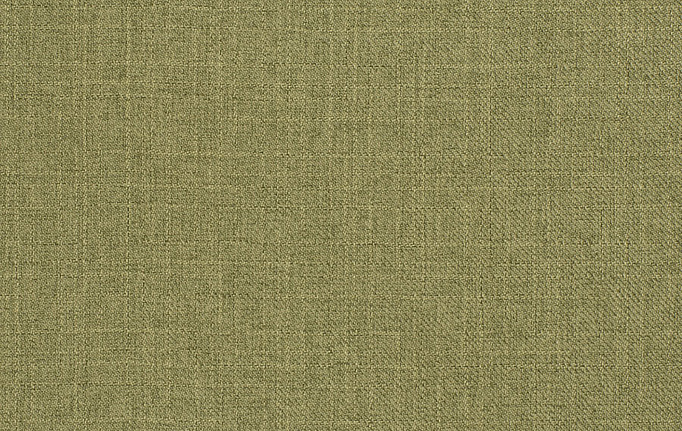 Американская ткань Trend, коллекция Mammoth Twill, артикул 04466/Cactus