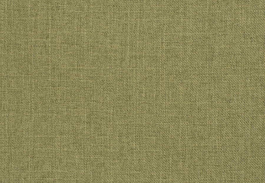 Ткань Trend Mammoth Twill 04466/Cactus