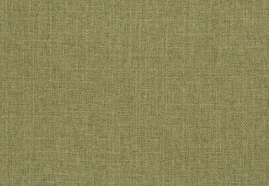 Ткань Trend Mammoth Twill 04466/Cactus