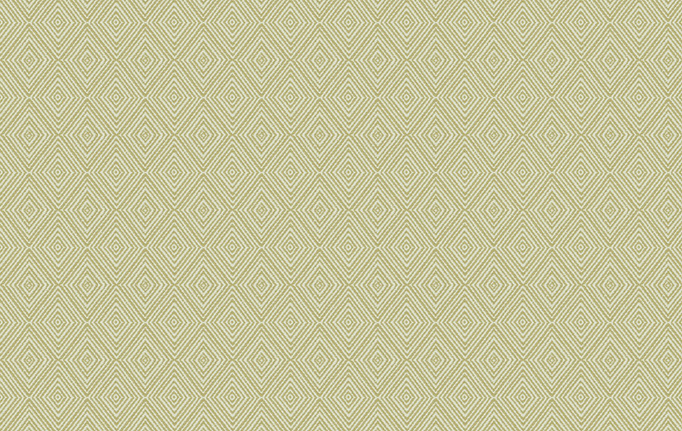 Американская ткань Trend, коллекция Aqua-Citrine Prints & Wovens Vol.II, артикул 04237/Sage