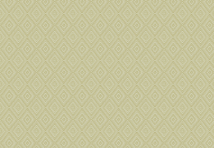Ткань Trend Aqua-Citrine Prints & Wovens Vol.II 04237/Sage