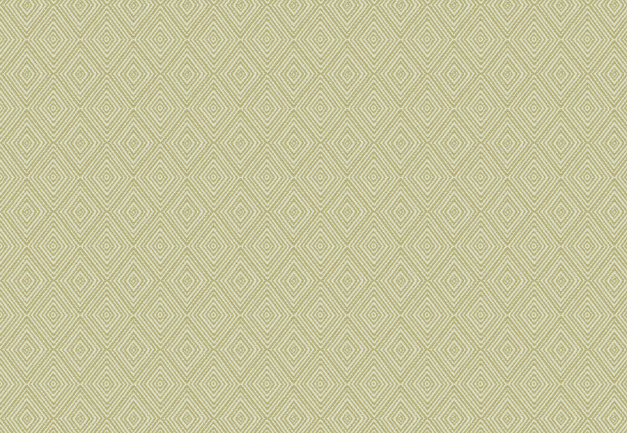 Ткань Trend Aqua-Citrine Prints & Wovens Vol.II 04237/Sage