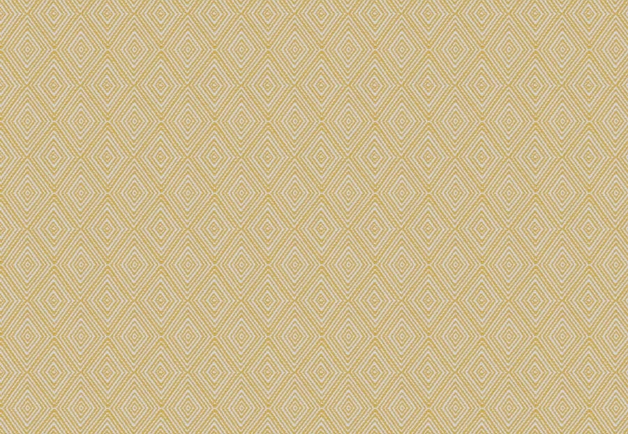 Ткань Trend Aqua-Citrine Prints & Wovens Vol.II 04237/Citrine