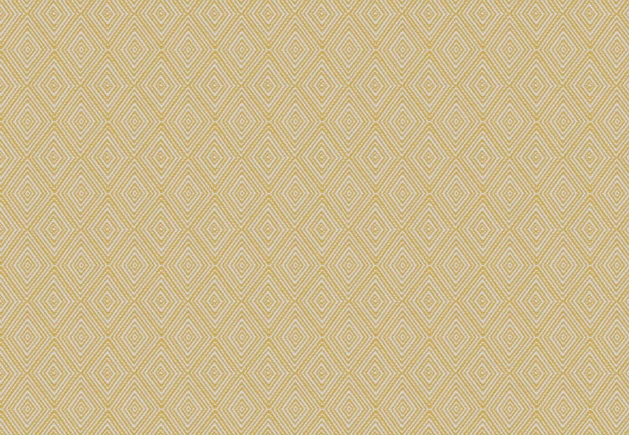 Ткань Trend Aqua-Citrine Prints & Wovens Vol.II 04237/Citrine