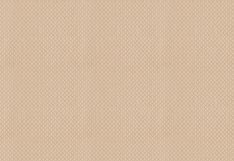 Ткань Trend Dijon Taupe Prints & Wovens Vol.VI 03653/Cashmere