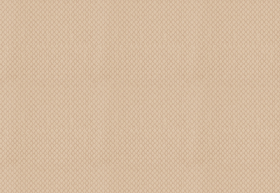 Ткань Trend Dijon Taupe Prints & Wovens Vol.VI 03653/Cashmere