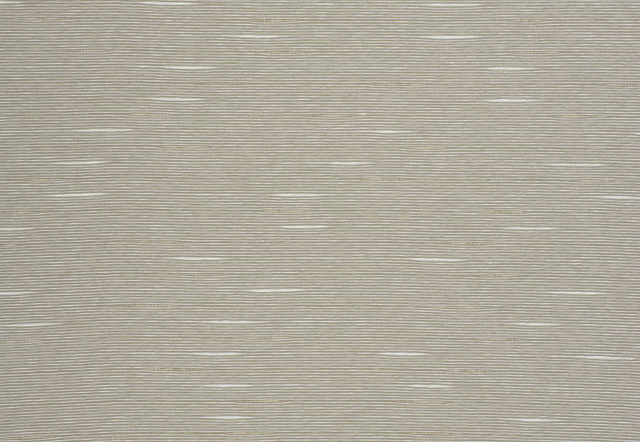 Ткань Trend Ecru-Birch Prints & Wovens Vol.VIII 04432/Quartz
