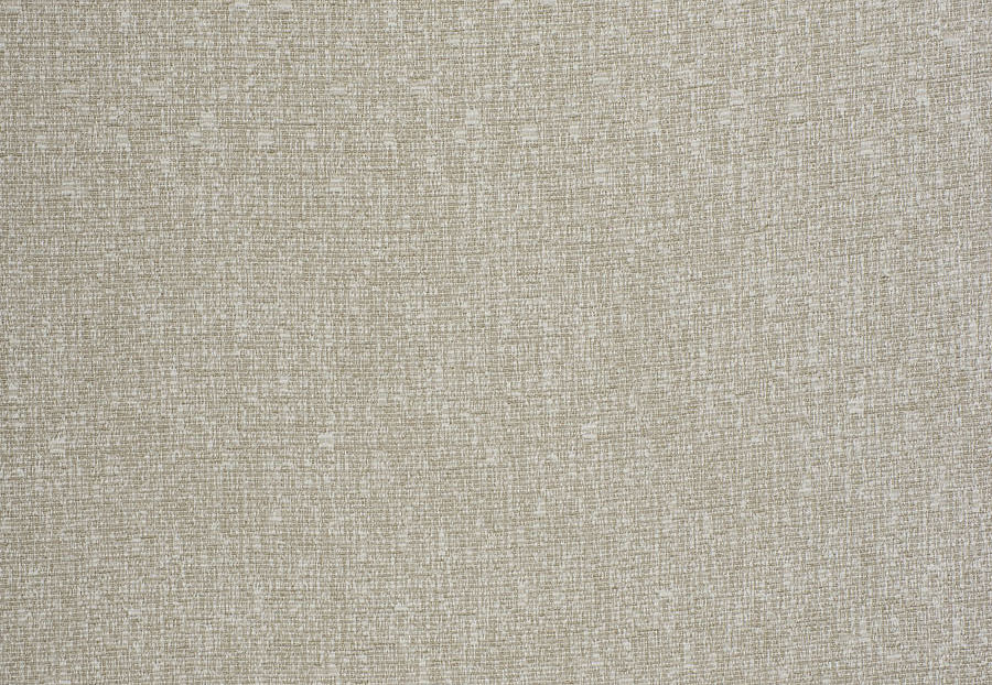 Ткань Trend Ecru-Birch Prints & Wovens Vol.VIII 04403/Classic
