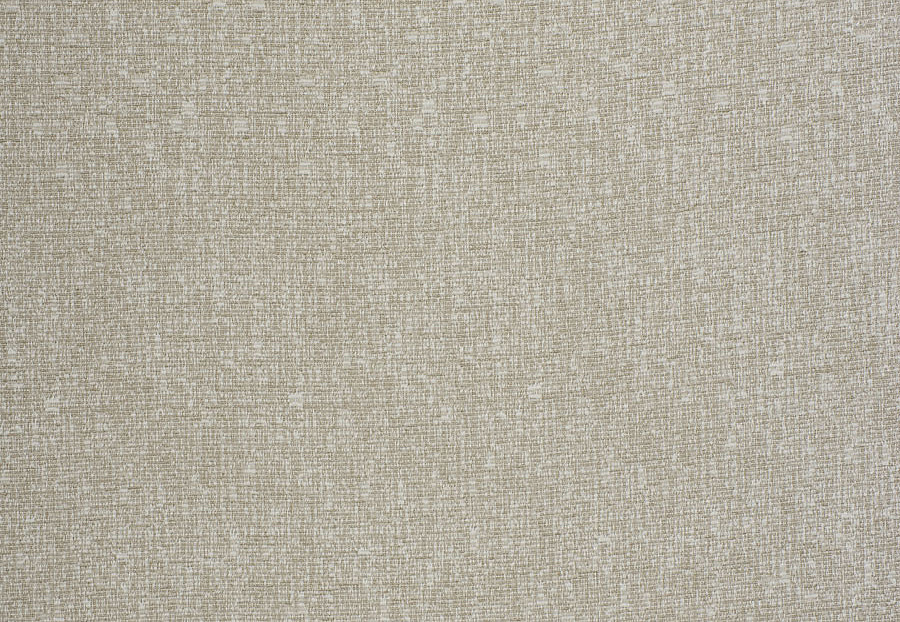 Ткань Trend Ecru-Birch Prints & Wovens Vol.VIII 04403/Classic
