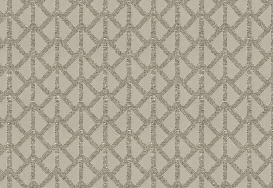 Ткань Trend Ecru-Birch Prints & Wovens Vol.VIII 04387/TanSparkle