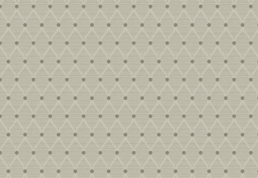 Ткань Trend Ecru-Birch Prints & Wovens Vol.VIII 03680/Ash