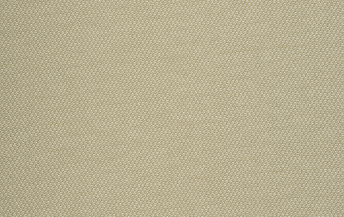 Американская ткань Trend, коллекция Ecru-Birch Prints & Wovens Vol.VIII, артикул 04402/Beach
