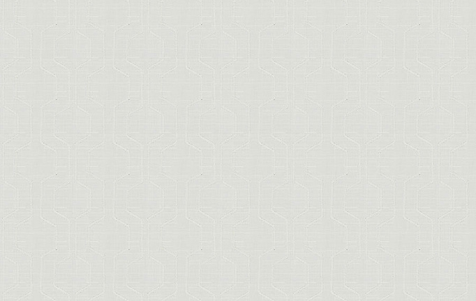 Американская ткань Trend, коллекция Stone-Cloud Prints & Wovens Vol.VIII, артикул 04408/White