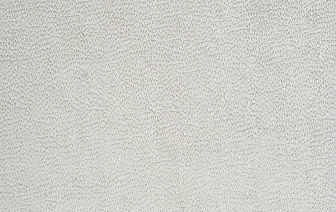 Американская ткань Trend, коллекция Stone-Cloud Prints & Wovens Vol.VIII, артикул 04389/White