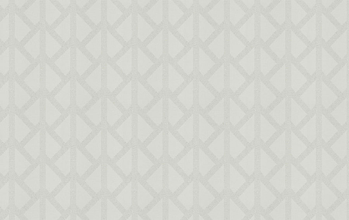 Американская ткань Trend, коллекция Stone-Cloud Prints & Wovens Vol.VIII, артикул 04387/WhiteSheen