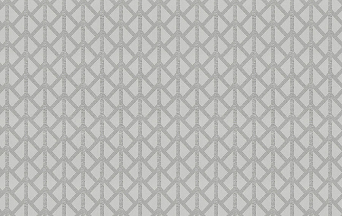 Американская ткань Trend, коллекция Stone-Cloud Prints & Wovens Vol.VIII, артикул 04387/CloudSilver
