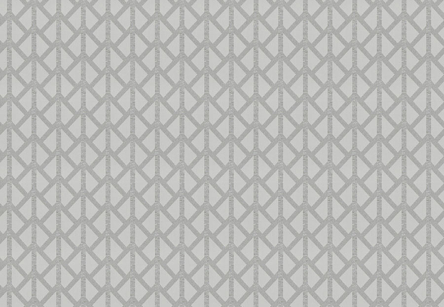 Ткань Trend Stone-Cloud Prints & Wovens Vol.VIII 04387/CloudSilver