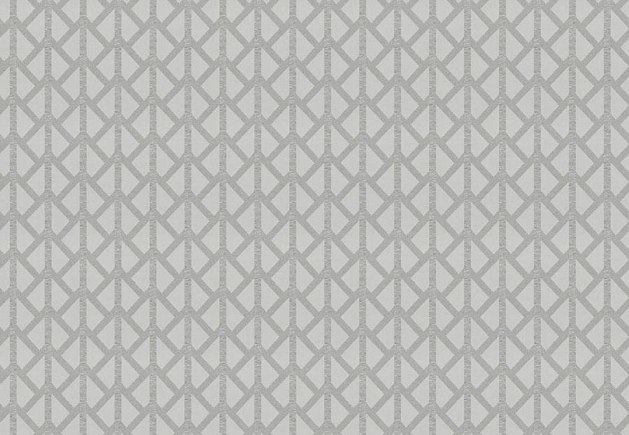 Ткань Trend Stone-Cloud Prints & Wovens Vol.VIII 04387/CloudSilver