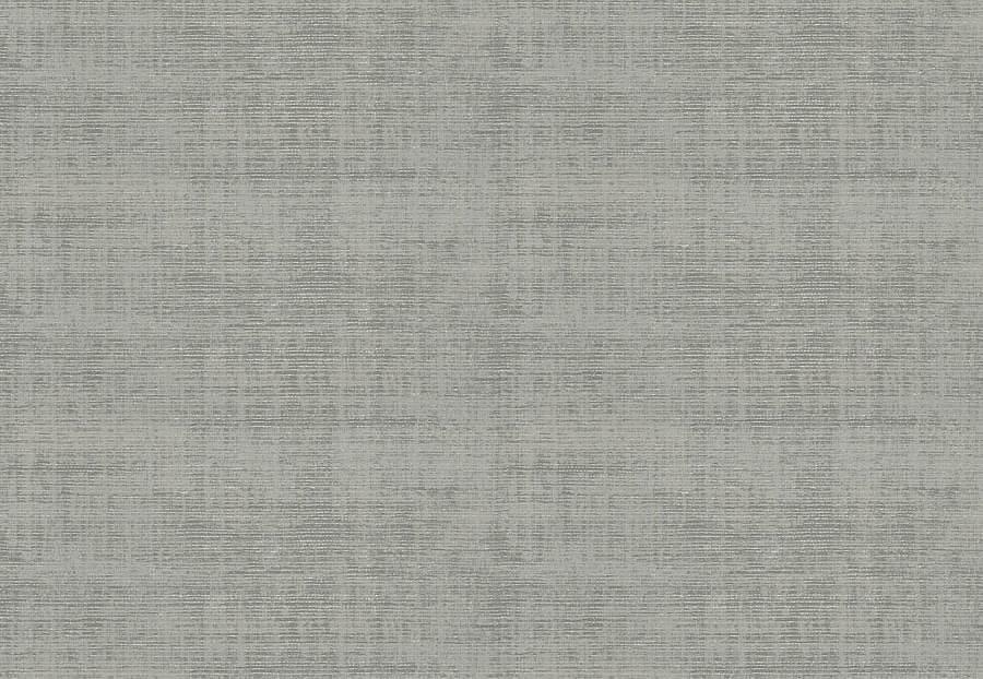 Ткань Trend Stone-Cloud Prints & Wovens Vol.VIII 04413/Ash