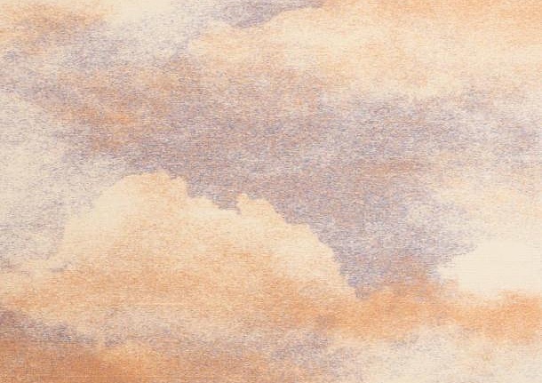 Обои Maison Neva Haiku HA3/09