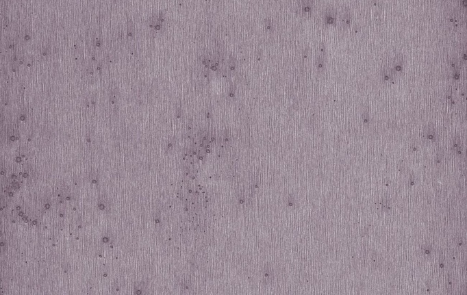 Бельгийские обои Arte, коллекция Lush, артикул 37504A