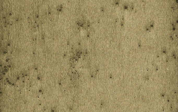 Бельгийские обои Arte, коллекция Lush, артикул 37510A