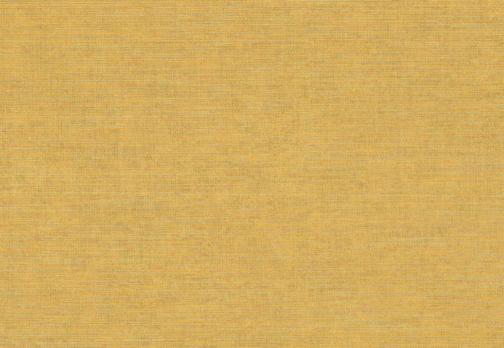 Обои Jannelli & Volpi 171 Ikat 6416